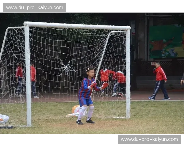 绿茵争锋：申鑫与贵州的“冰与火之歌”，谁才是那道永恒的足球光芒？